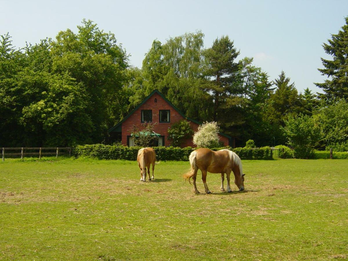 Villa Bernard Meyborg Lindern Exterior foto